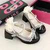 Faldas de Otoño de Alta Calidad con Suelas Gruesas Combinadas con Zapatos Pequeños de Cuero, Zapatos Mary Jane para Mujer, Zapatos de Tacón Grueso Retro 2026, Modelo Nuevo Plateado