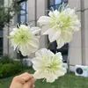 Flor Artificial Lover Nebuloso de Pétalas Dobráveis de 3 Cabeças, Flor Falsa de Grama Preta para Decoração de Casamento e Casa, Atacado