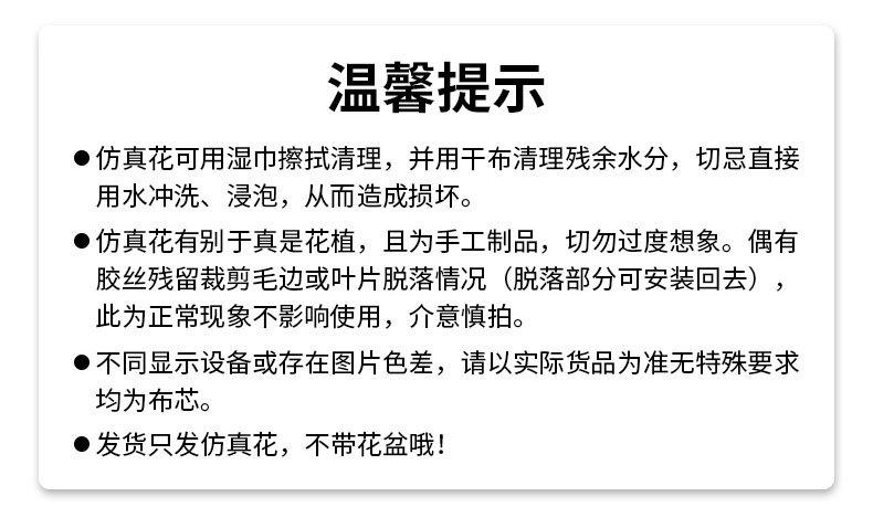 绣球_09_02.jpg
