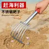 Rastrillo de cuatro dientes de acero inoxidable para recoger conchas en la playa, cavar almejas, aflojar la tierra en macetas y cavar en busca de caracoles y almejas.