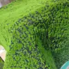 Parede de Plantas Verdes varanda gramado de musgo grama flocada vaso de flores calçada exterior Musgo