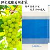 Bolsa para Ensacar Uvas Ensacar Bolsa de Papel Fruta Impermeable A Prueba de Lluvia A Prueba de Insectos Protección Niebla de Loto Transpirable Translúcida Una Pieza