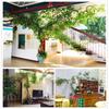 Hojas artificiales, ramas, enredaderas de árbol, hojas falsas, sala de estar, plantas verdes de interior, enredaderas en maceta, flores falsas, enredaderas, decoración de pared de plantas