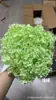 [Niebla Natural Hortensia] Flor Eterna Flor Seca Hortensia Anna Hortensia Lobular Material para Boda DIY Venta al por Mayor