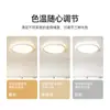 Iluminación Nórdica Luz de Techo para Sala de Estar Luz Principal 2026 Nuevo Modelo Simple Moderno Elegante Zhongshan Luminarias Paquete para Toda la Casa