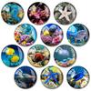 Ímãs de Geladeira Personalizados pelo Fabricante, Mais Vendidos na Amazon Transfronteiriça, com Vida Marinha, Tartarugas Marinhas, Estrelas do Mar, Ímãs Redondos de Vidro