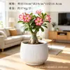 Vasos de Flores de Porcelana Branca Transfronteiriços Amazon Vasos de Cerâmica Simples Criativos Preto e Branco para Orquídeas de Interior Plantas Verdes