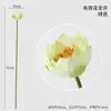Flor de Loto Artificial Flor de Loto Nueva China Flor Falsa Hoja de Loto Decoración de Cúpula de Loto Decoración de Jarrón de Sala de Estar Accesorios para Sesión de Fotos