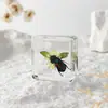 A Fábrica de Artesanato Zhongkun vende espécimes de insetos genuínos como itens decorativos, embutidos em resina de alta transparência, como brinquedos científicos educativos para crianças.