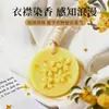Aceite Esencial de Planta de Osmanthus Pastillas de Cera Aromáticas Redondas en Relieve Rodajas Perfumadas Fragancia de Larga Duración Colgante de Interior Recuerdo