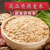 Avena de nueva cosecha, cultivada por agricultores locales, avena de este año, avena integral, cereales integrales, desayuno nutritivo y saludable