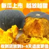 Abóbora Bebê Sabor Castanha de Liaocheng Autêntica Abóbora Bebê Castanha 3- 2,5-4,5kg Abóbora Velha Legumes Frescos Huihe