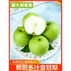 Las Peras Crown Son Peras Frescas de Temporada Muy Recomendadas. una Caja Entera de Peras Corona, Peras Frutales Crujientes, Peras de Miel, Peras Tempranas, Peras Verdes de Dangshan, China