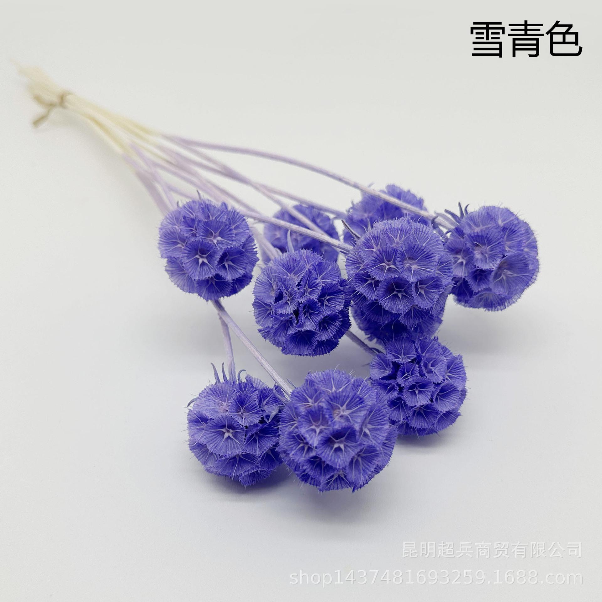 11雪青色.jpg