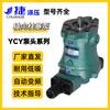 Motor para Fins Especiais Cabeçote de Bomba de Inserção Direta Série Ycy14-1D Bomba de Pistão Axial