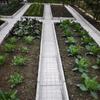 Sichuan Chengdu Canaleta Tablero Acabado Huerta Campo de Verduras Canaleta Tablero Acabado Patio Rústico Cemento Cubierta de Canaleta