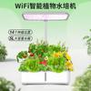 Máquina Hidropônica Inteligente para Plantas com Wi-Fi e Bluetooth Vaso de Flores Cultivo de Vegetais Observação de Plantas Caixa de Plantio