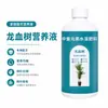 Drácena y Drácena Fertilizante Especial Solución Nutritiva Plantas en Maceta Planta Verde de Interior Fertilizante para Flores Fertilizante Universal de Nitrógeno, Fósforo y Potasio