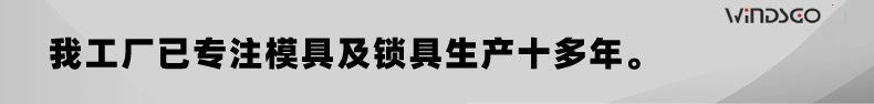 专注锁具体十多年