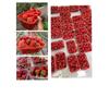 Cesta para Recoger Bayas y Uvas, Azul Portátil de Plástico Ciruela Melocotón Huerta Caqui Azul Rojo Cesta de Bayas Empacada a Granel, Popular Dropshipping