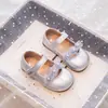 Zapatos Mary Jane para niñas, zapatos de princesa, zapatos de una sola suela blandos, nuevos zapatos de cuero para niños de primavera y otoño, zapatos plateados para actuación decorados con flores