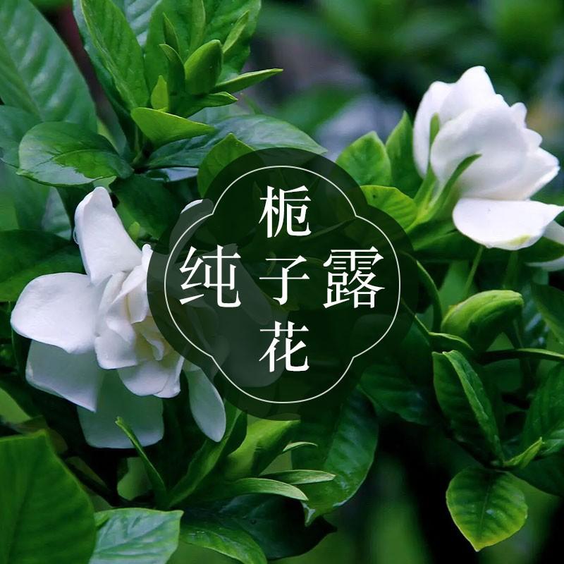 栀子花纯露详情页