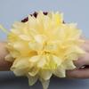 Flores de guirnalda en la muñeca Horquilla de flor flor cuadrada de disfraz baile cuadrado flor blanca pequeña baile baile