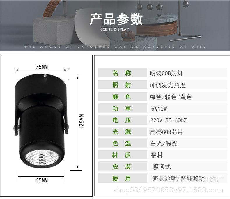 明装参数.jpg