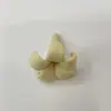 Accesorios de cuentas de flor de trompeta de arcilla suave de colores hechos a mano, flor de campana, flor de plumeria, componentes de joyería hechos a mano mini DIY simulados
