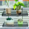 Transformación de estación de trabajo de oficina, estante de almacenamiento de arte en hierro, almacenamiento para alféizar de ventana, soporte para plantas en maceta, gancho para plantas suculentas de escritorio, soporte para flores