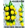Flor de Vid Artificial Flores de Vid Hojas de Uva Decoración de Techo para Frutería Flor de Plástico en Vid Vid de Hojas Verdes Guirnalda de Hojas