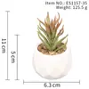 Suculenta Planta Taça de Diamante Bonsai Decoração Casa Escritório Es1178-4 Paisagem em Microfibra Aveludada Mini Alta Simulação