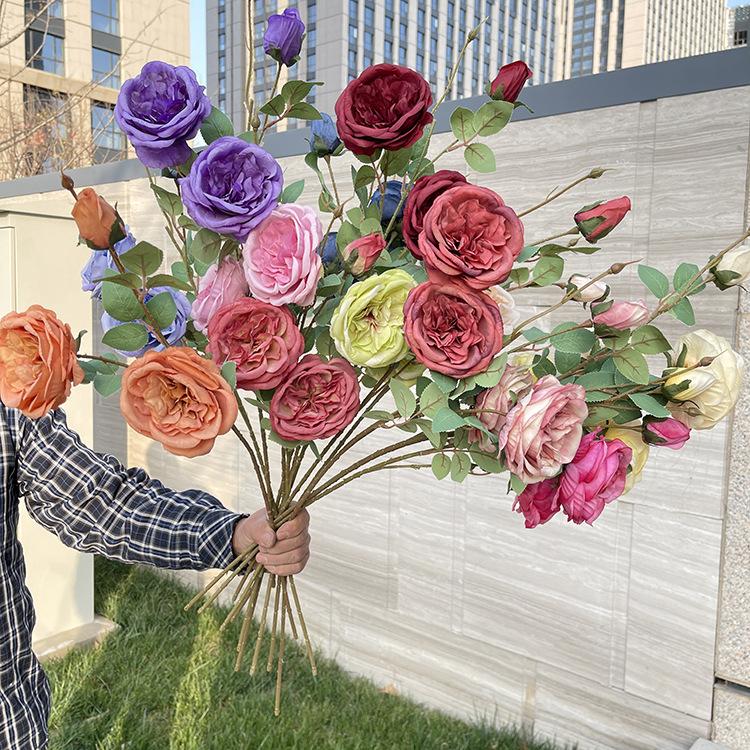 主图 花溪谷.JPG