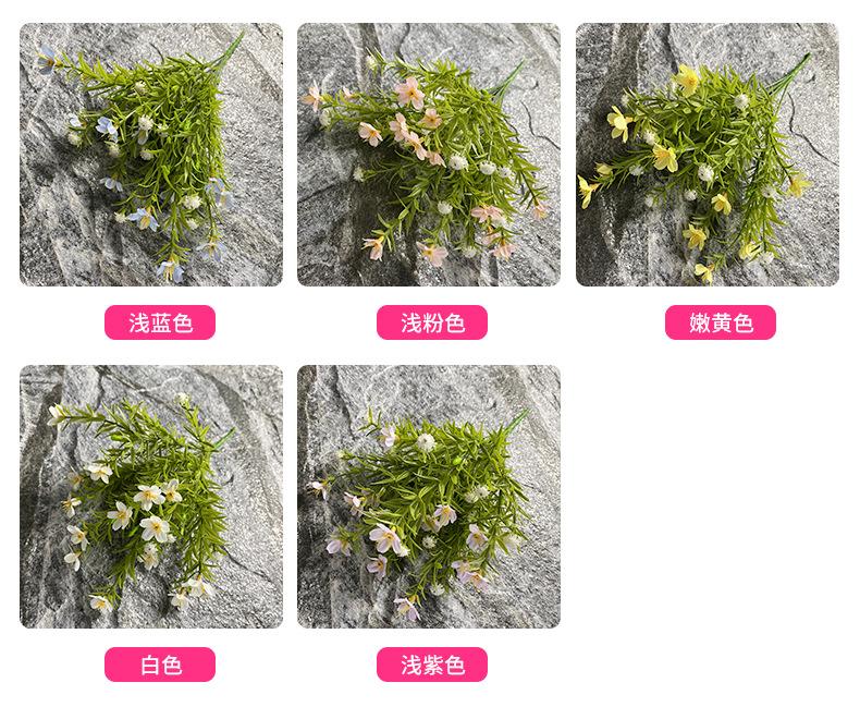 颜色.jpg