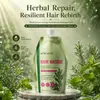 Mascarilla para el Cabello de Romero y Menta Todo en Inglés KORMESIC Mascarilla Nutritiva e Hidratante para el Cabello Venta al por Mayor de Fabricante de Comercio Exterior