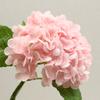 Lan Guifang Elegante Flor Artificial de Hortensia con Tacto Natural Decoración para el Hogar Sala de Estar Flor Artificial Ramo de Mano Fabricante Venta al por Mayor