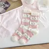 Meias Florais Fofas de Verão na Cor Creme, Meia-Calça Transparente com Recorte de Seda de Vidro, Meias Respiráveis de Meia-Calça Rosa Lolita