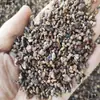 Raíz de casia, medicina herbal china, semillas de raíz de casia, especias de raíz de casia, productos secos de raíz de casia, polvo de raíz de casia, arroz de raíz de casia