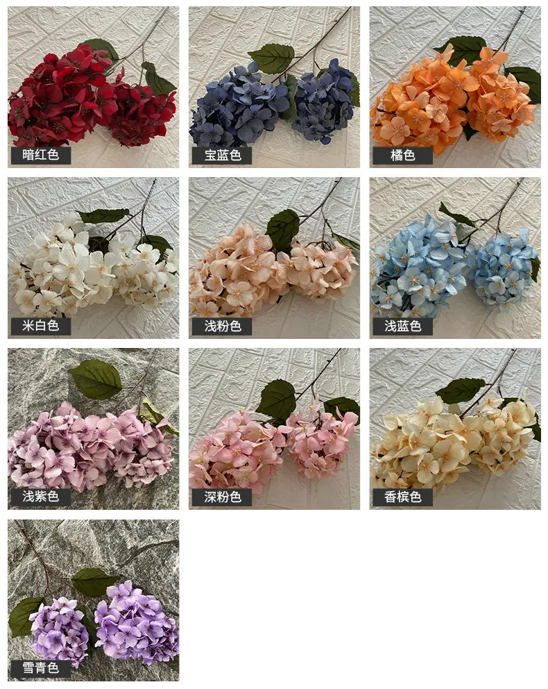 产品颜色.jpg