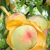 Sacos para ensacar pêssegos, ensacamento de frutas, ferramenta de proteção contra pássaros e insetos, sacos de rede para pêssegos, melão, pêssegos amarelos para jardinagem