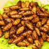 Crispy Pupas de Bicho da Seda Prontas para Comer Fritas com Cinco Especiarias Pequenas Pupas de Bicho da Seda Lanche Picante para Bebidas Especialidade de Shandong Lanche Alimentício Cozido para Uso Comercial
