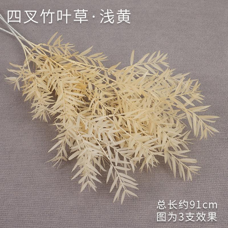 竹叶塑料香槟色