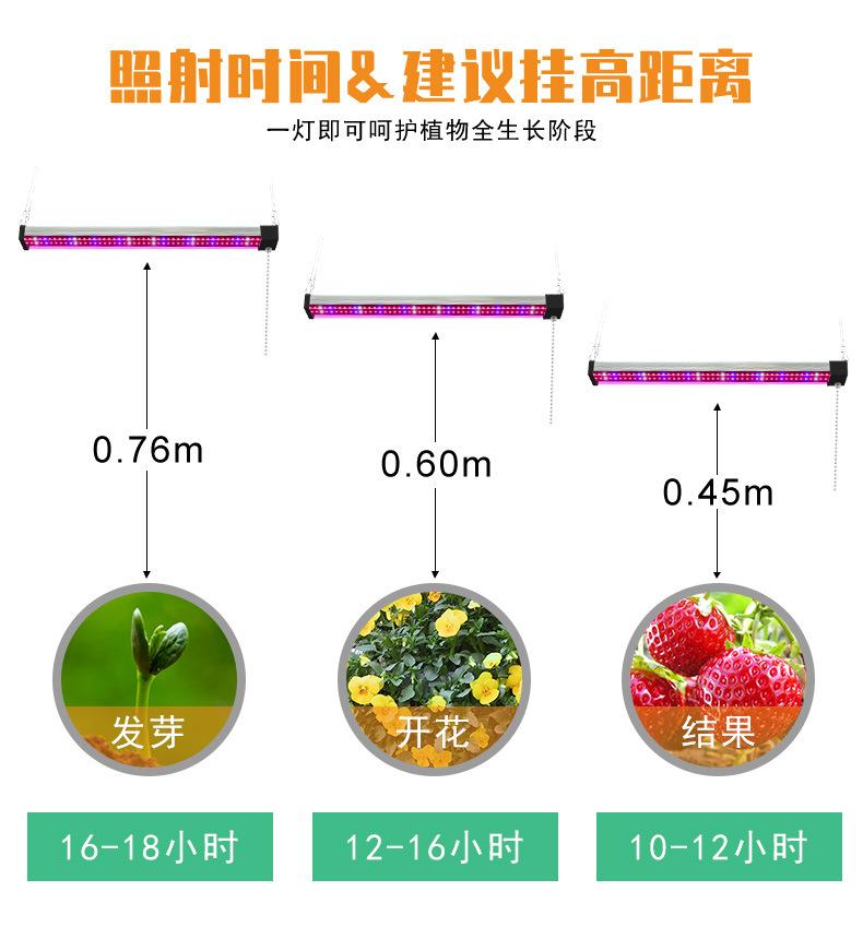 详情页_06