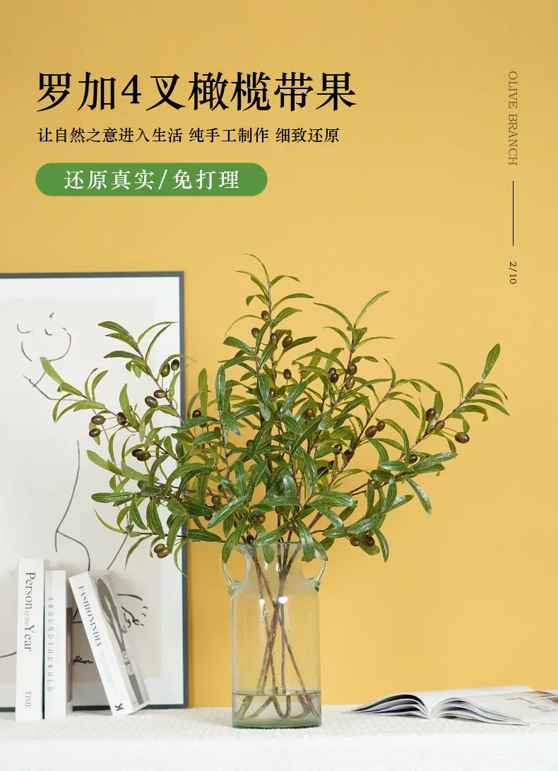 罗加4叉橄榄带果_01.jpg