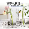 Jarrón alto de alta calidad para interiores para una sola flor, jarrón de cristal, jarrón de cristal transparente diseñado específicamente para una sola flor, pieza decorativa