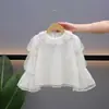 Vestido da Cinnamoroll para Meninas, Traje Lolita Elaborado, Doce Vestido de Bebê, Vestido de Princesa, Vestido para Todas as Estações