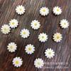 Contas de girassol de marisco de água doce 10 / 12mm tingido diy jóias acessórios colar pulseira acessórios Amazon quente