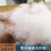 Algodão PP de Alta Elasticidade Verde para Maternidade e Bebês Jiangsu Atacado Algodão para Travesseiro Tridimensional 7D*64 Não Fluorescente Algodão de Enchimento para Bebês e Gravidez