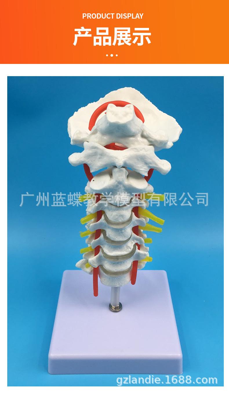 详情_06.jpg