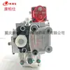 Bomba de Combustible Aplicable Cummins 3060179 Motor 3655323 Bomba de Inyección Piezas para Maquinaria de Construcción